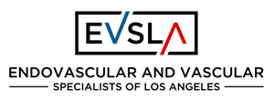 EVSLA Medical Logo